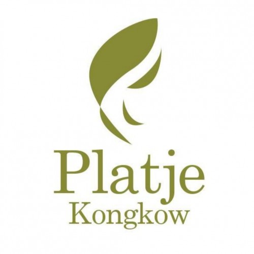 store icon